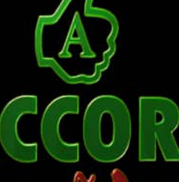 accord